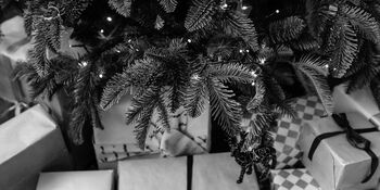 Pexels oleg zaicev 4834893